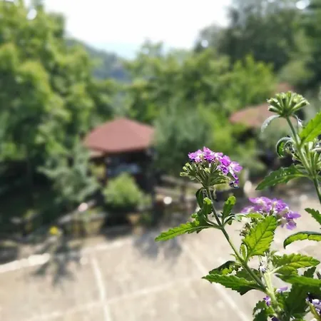 Hotel King Park Resort